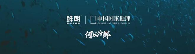 国内首个《鲜肉烘焙全价宠物食品》标准k8凯发入口从开创到引领：鲜朗发布(图16)